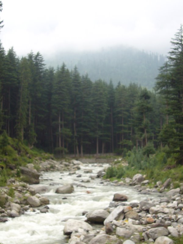 Travel - India - Himachal Pradesh - Manali - The Valley and the River